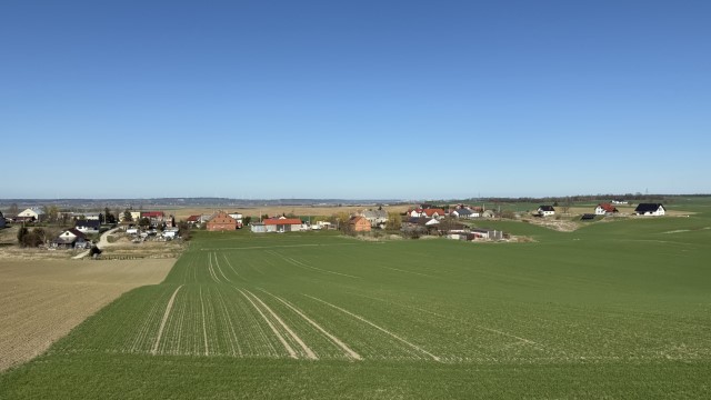 IMG 6900
