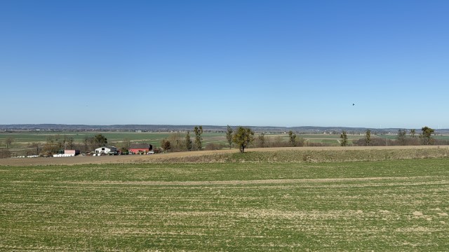 IMG 6905
