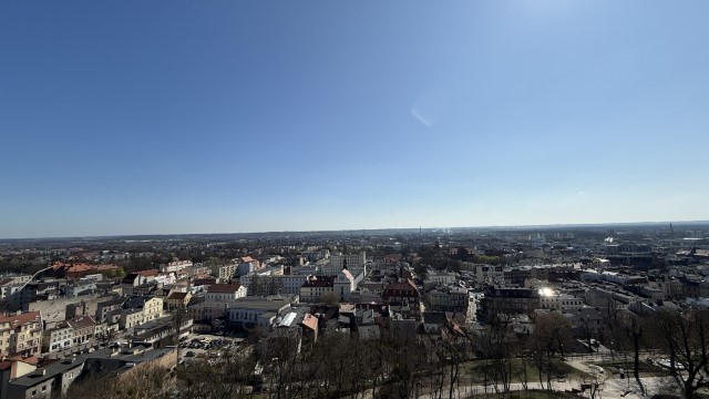 IMG 7019