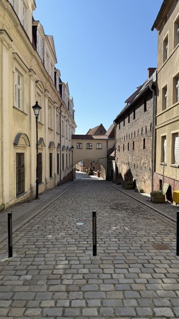 IMG 7047