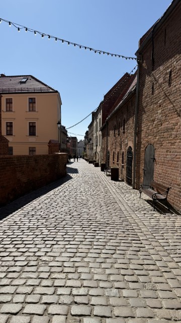 IMG 7063