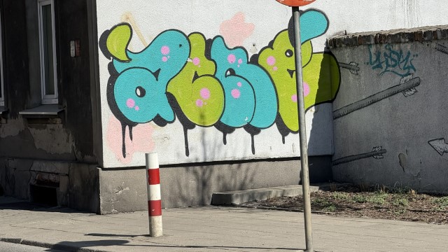 IMG 7107