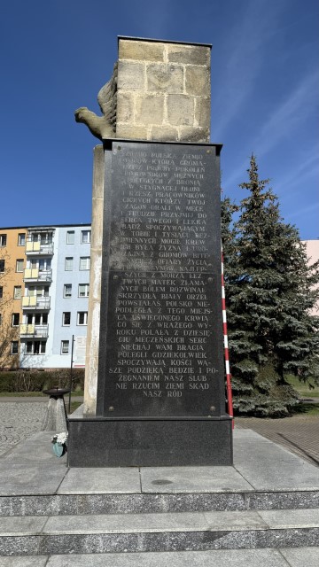 IMG 7152