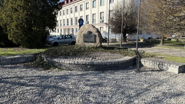 IMG 7156