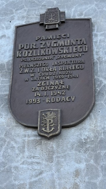 IMG 7161