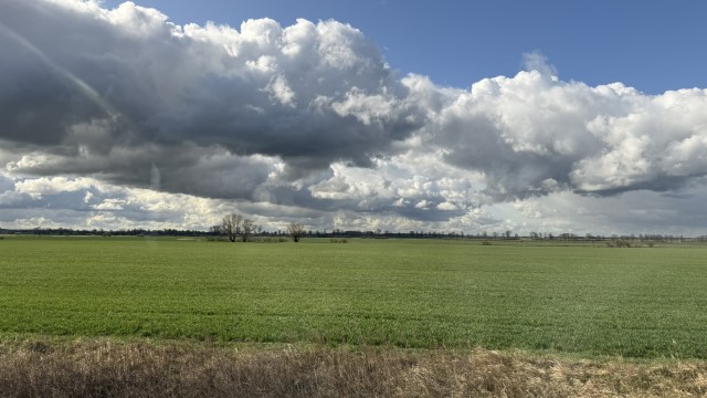 IMG 7278