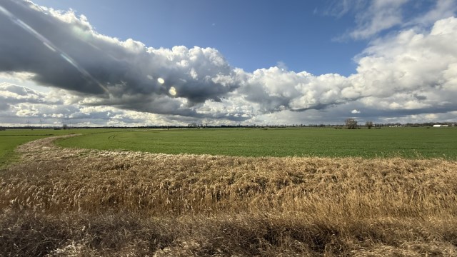 IMG 7279