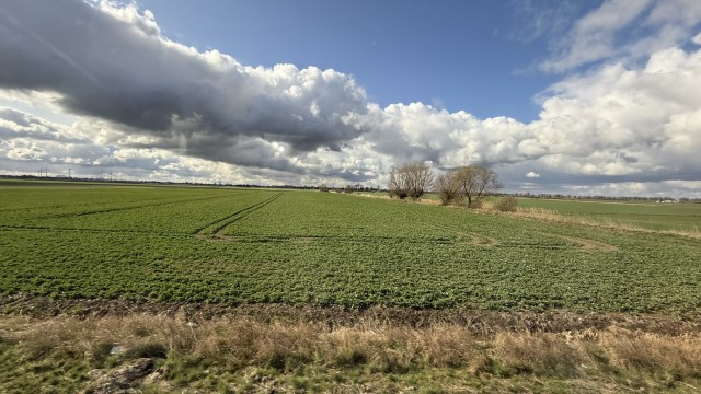 IMG 7280
