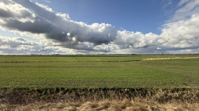 IMG 7283