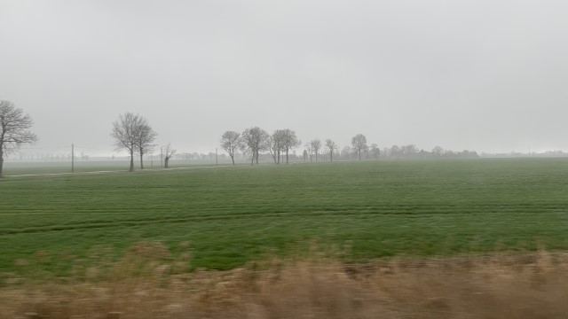 IMG 7293
