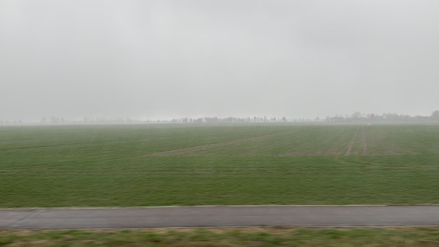 IMG 7295