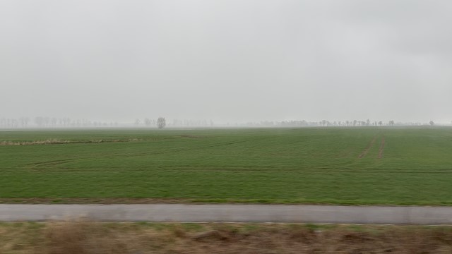 IMG 7296