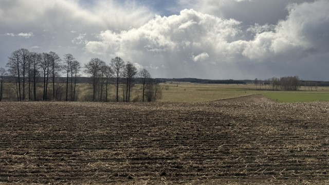 IMG 7300