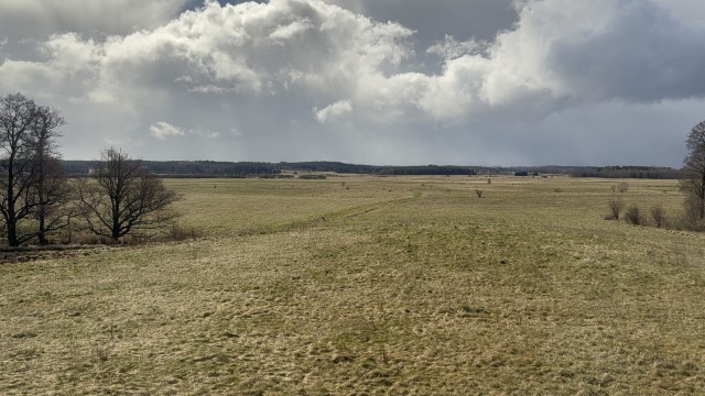 IMG 7301