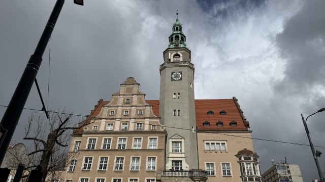 IMG 7331