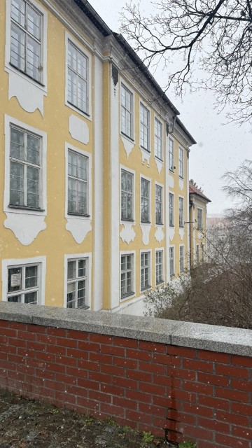 IMG 7355