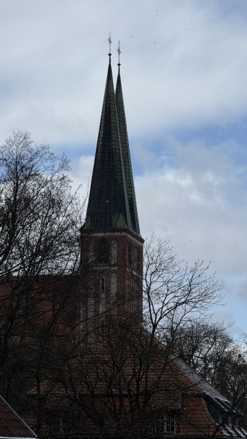 IMG 7372