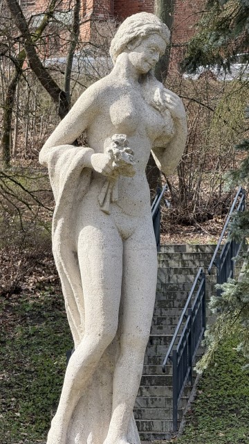 IMG 7385