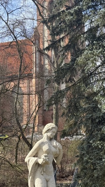 IMG 7386