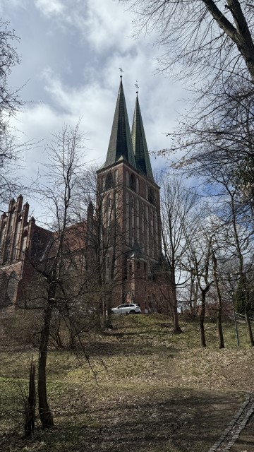 IMG 7387