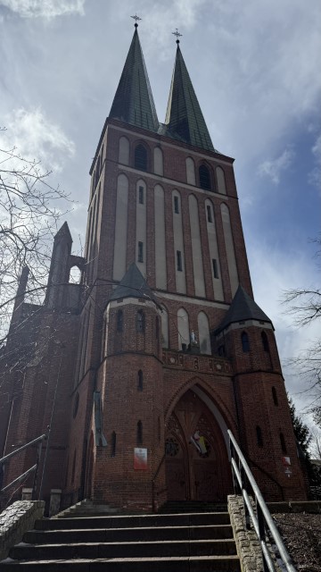 IMG 7389