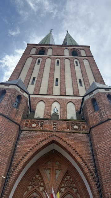 IMG 7390