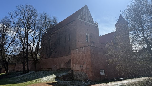 IMG 7398