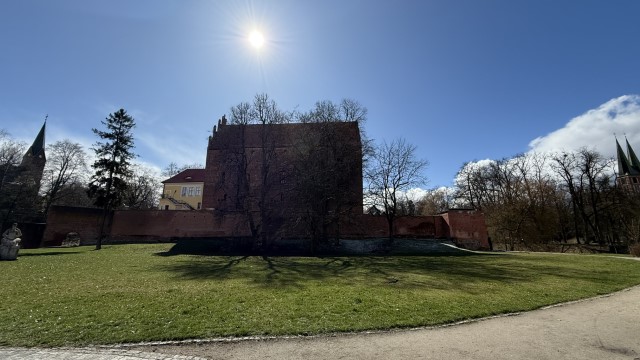 IMG 7404