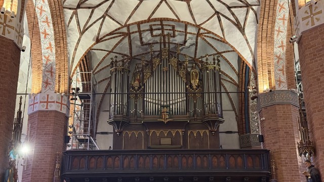 IMG 7444