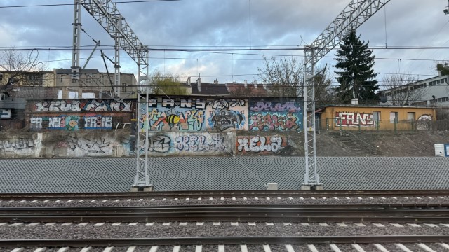 IMG 7535