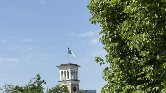IMG 7795