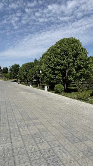 IMG 7808