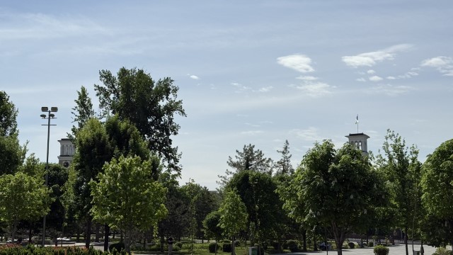 IMG 7818