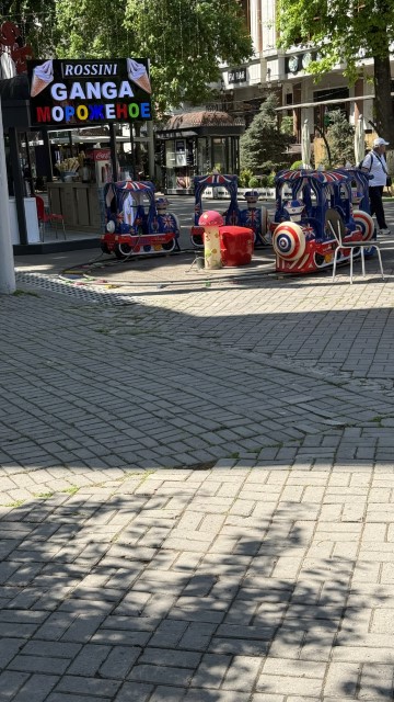 IMG 7831