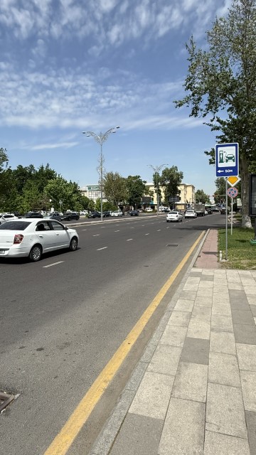IMG 7875