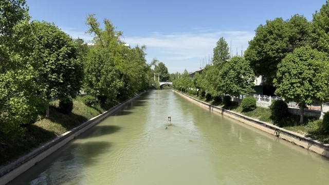 IMG 7945