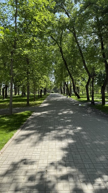 IMG 7966