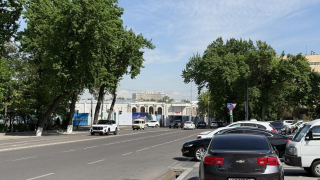IMG 7993