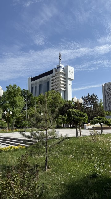 IMG 7994
