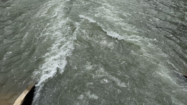IMG 8624