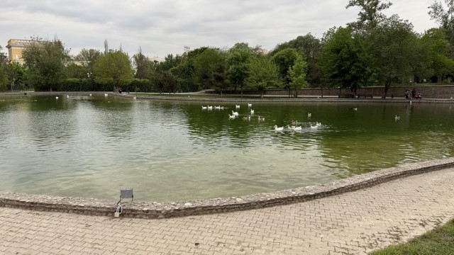 IMG 8692