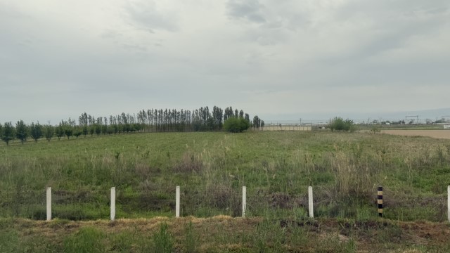 IMG 8136