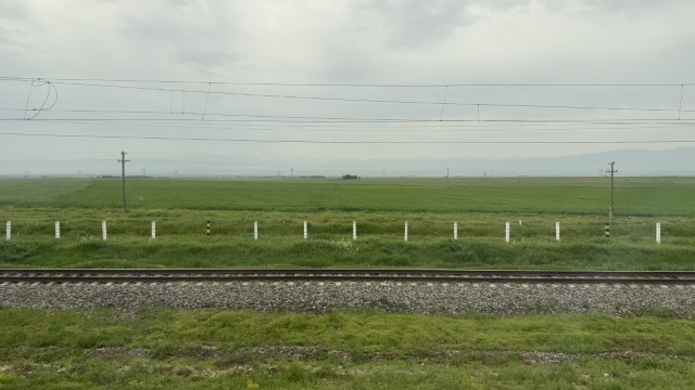 IMG 8137