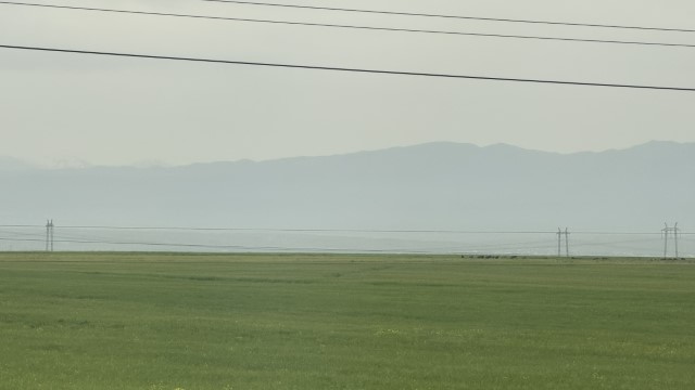 IMG 8139