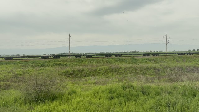 IMG 8144