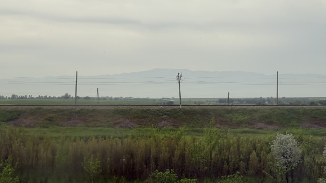 IMG 8149