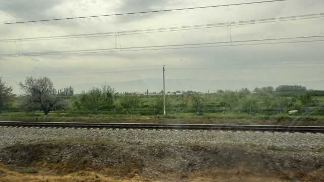 IMG 8150
