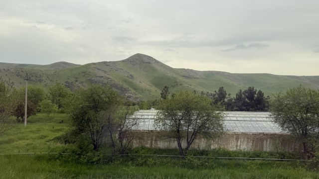 IMG 8156