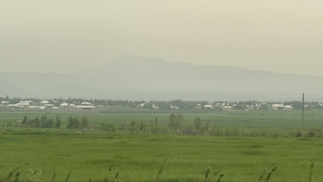 IMG 8178