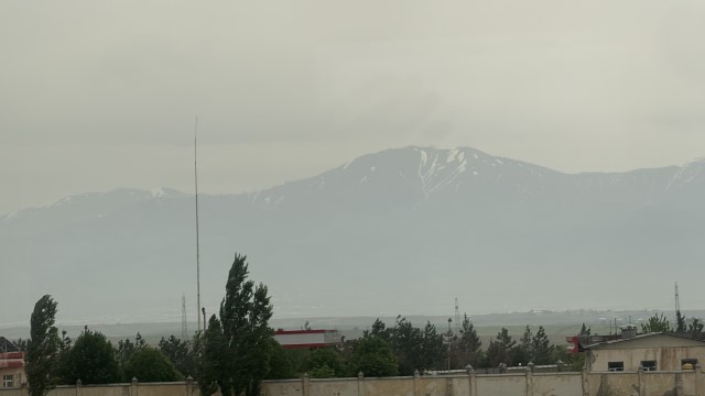 IMG 8185